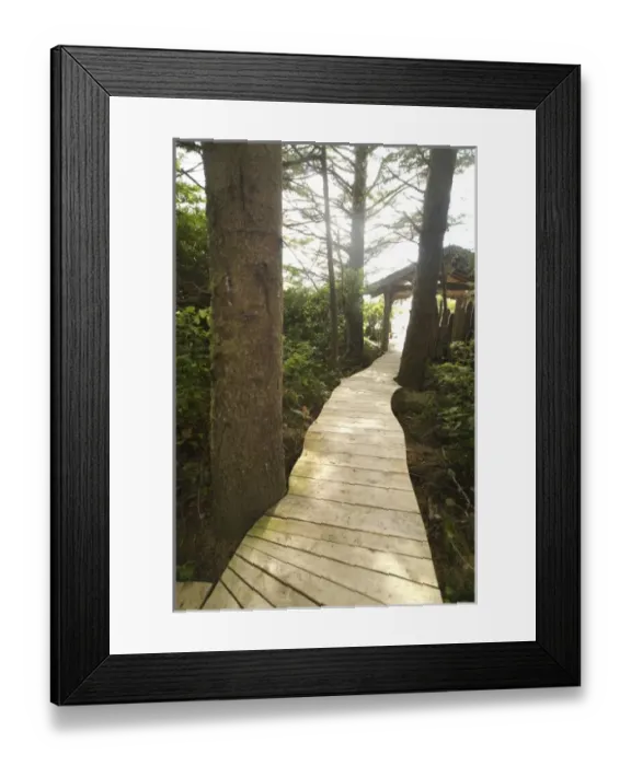 Framed Print : Boardwalk Trail from Wickaninnish Inn to Long Beach, Tofino, British Columbia, Canada Framed Print : Boardwalk Trail from Wickaninnish Inn to Long Beach, Tofino, British Columbia, Canada