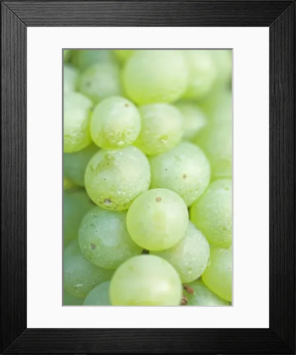 Framed Print : Canada, British Columbia