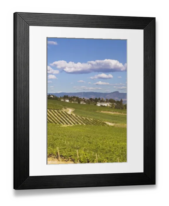 Framed Print : Canada, British Columbia