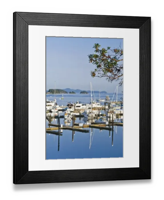 Framed Print : Canada, BC, Gulf Islands, Salt Sporing Island, Ganges Harbor Framed Print : Canada, BC, Gulf Islands, Salt Sporing Island, Ganges Harbor