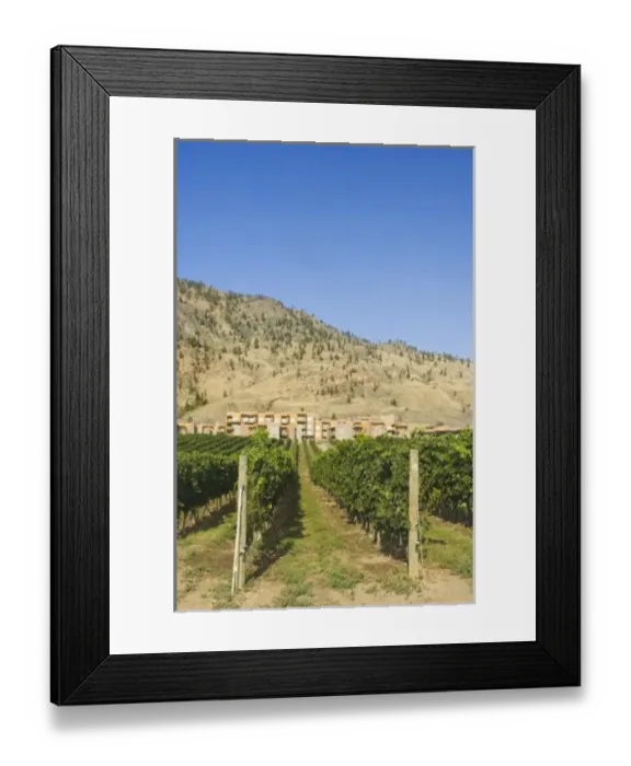 Framed Print : Canada, British Columbia Framed Print : Canada, British Columbia