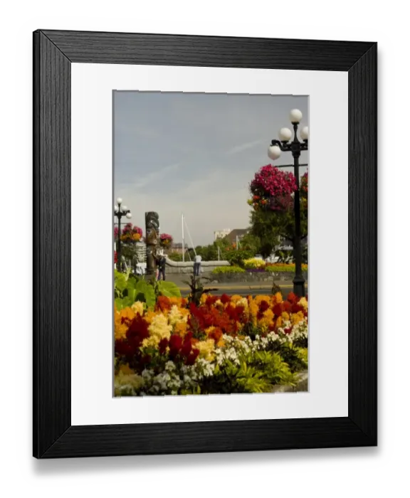 Framed Print : Canada, British Columbia Framed Print : Canada, British Columbia