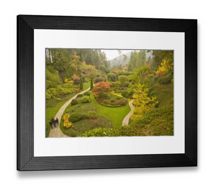 Framed Print : Canada, British Columbia Framed Print : Canada, British Columbia