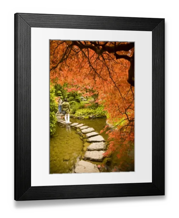 Framed Print : The Japanese Garden, Autumn Colors, Butchart Gardens, National Historic Site of Canada