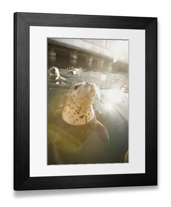Framed Print : Canada, British Columbia Framed Print : Canada, British Columbia