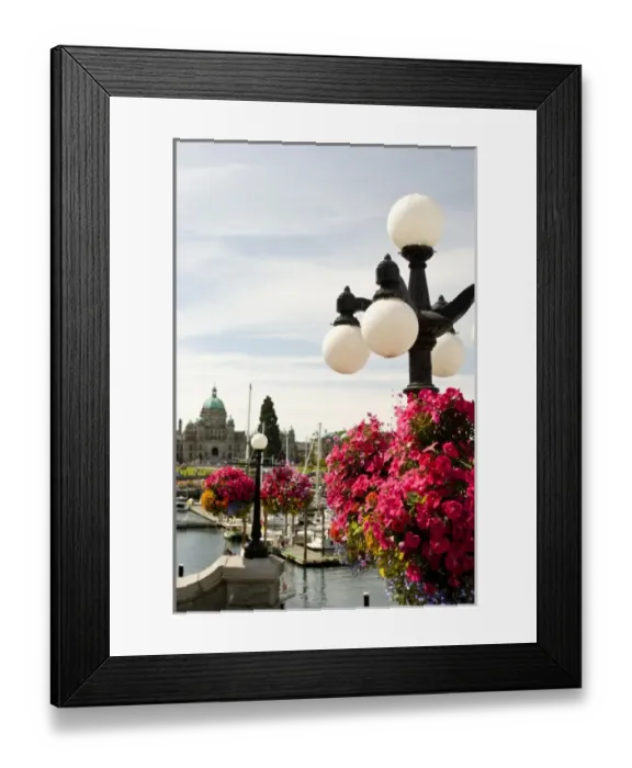 Framed Print : CANADA, British Columbia, Victoria. Hanging Flower Baskets Framed Print : CANADA, British Columbia, Victoria. Hanging Flower Baskets