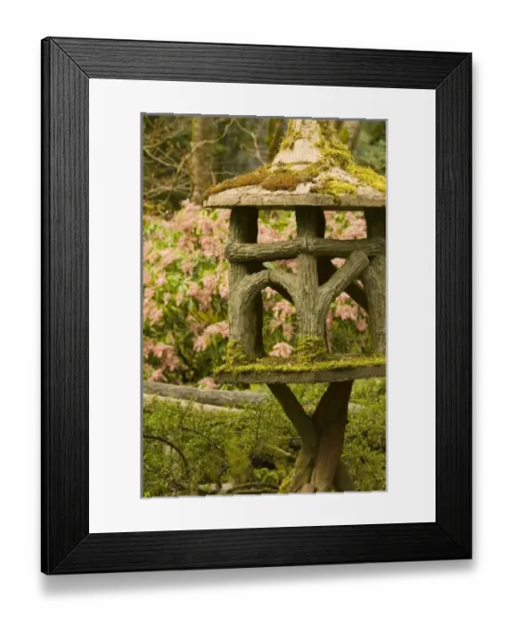Framed Print : Canada, British Columbia Framed Print : Canada, British Columbia