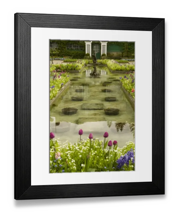 Framed Print : Canada, British Columbia Framed Print : Canada, British Columbia