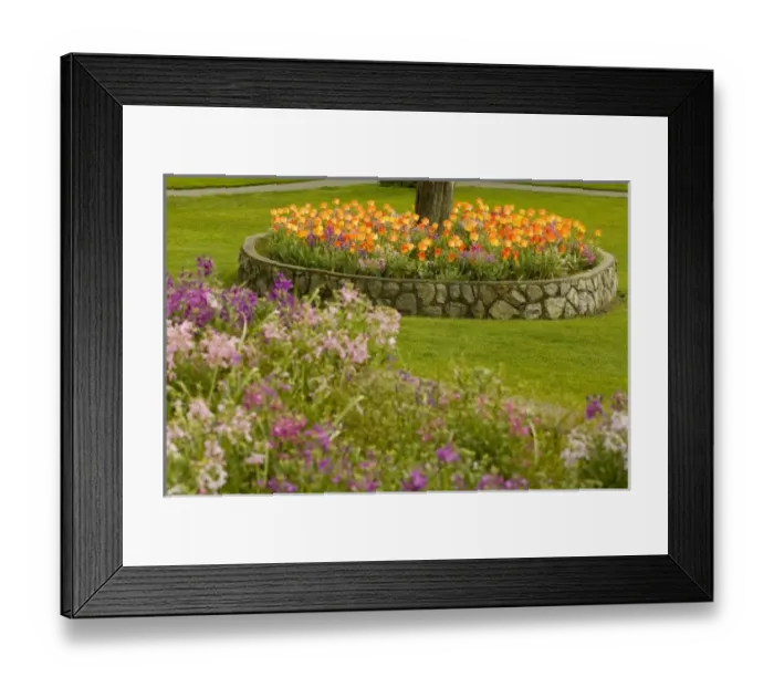 Framed Print : Canada, British Columbia Framed Print : Canada, British Columbia