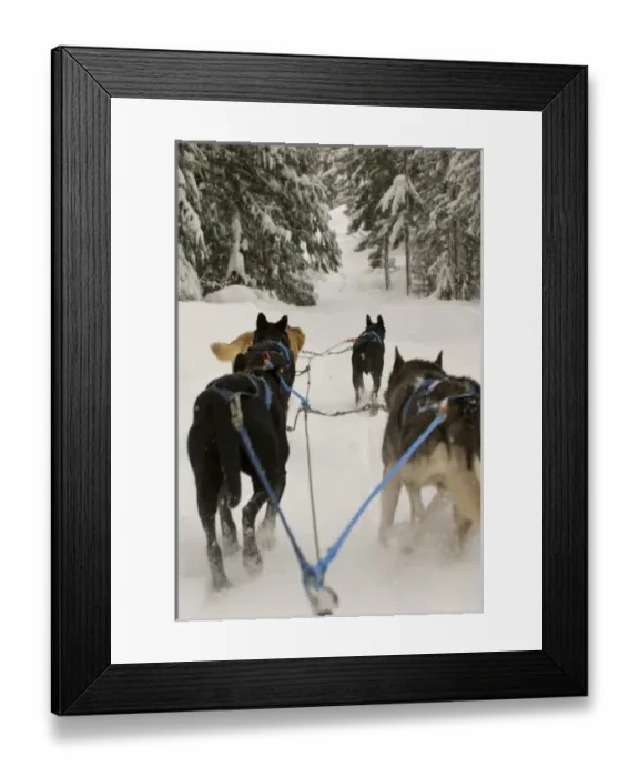 Framed Print : Canada, British Columbia Framed Print : Canada, British Columbia