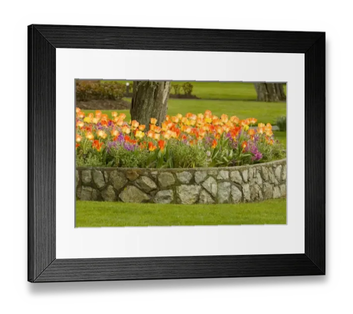 Framed Print : Canada, British Columbia