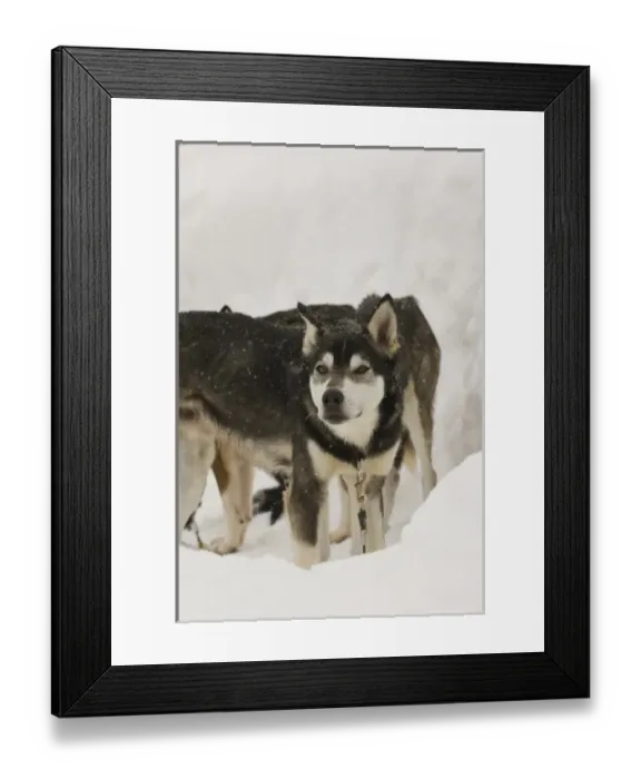Framed Print : Canada, British Columbia Framed Print : Canada, British Columbia