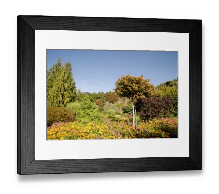 Framed Print : Canada, British Columbia