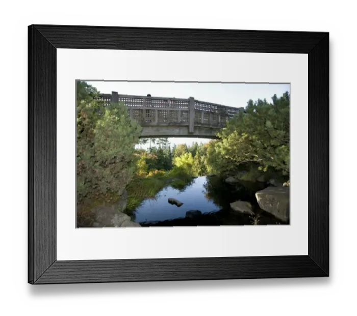 Framed Print : Queen Elizabeth Park, Vancouver, BC, Canada