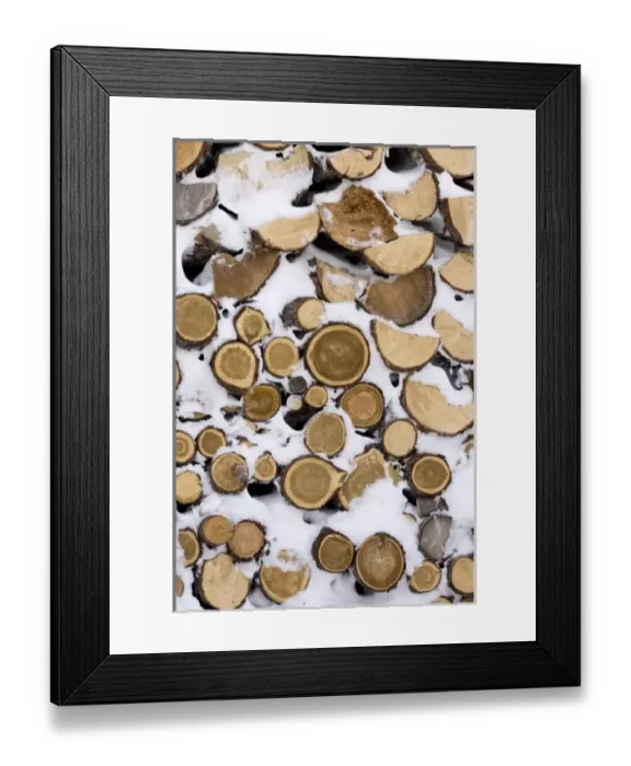 Framed Print : Canada, Manitoba, Hudson Bay, Churchill. Stack of frozen cut fire wood at Seal River Heritage Lodge Framed Print : Canada, Manitoba, Hudson Bay, Churchill. Stack of frozen cut fire wood at Seal River Heritage Lodge