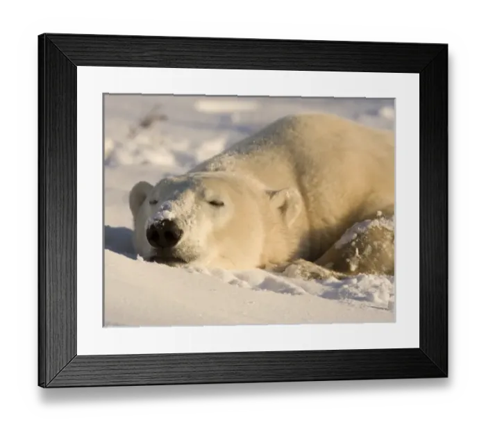 Framed Print : Canada, Manitoba Framed Print : Canada, Manitoba