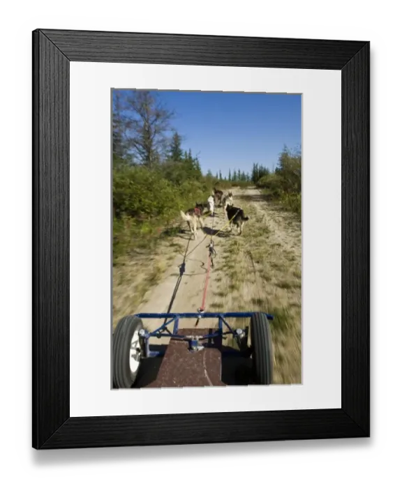 Framed Print : Canada, Manitoba