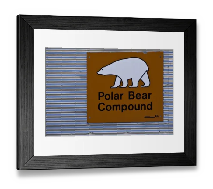 Framed Print : Churchill, Manitoba. Polar bear hotel