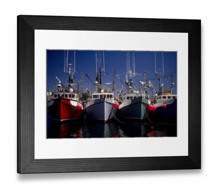Framed Print : Canada: New Brunswick, Grand Manan, North Head Harbor, commercial fishing boats, July Framed Print : Canada: New Brunswick, Grand Manan, North Head Harbor, commercial fishing boats, July