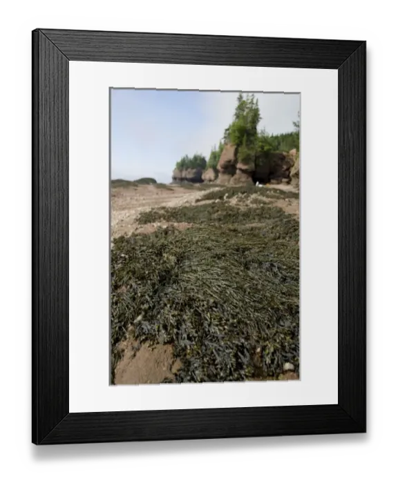 Framed Print : Canada, New Brunswick