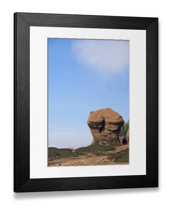 Framed Print : Canada, New Brunswick, Hopewell Cape, Bay of Fundy. Hopewell Rocks at low tide (aka Framed Print : Canada, New Brunswick, Hopewell Cape, Bay of Fundy. Hopewell Rocks at low tide (aka