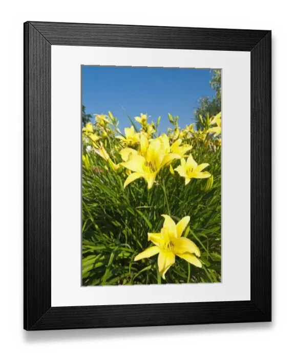 Framed Print : Canada, New Brunswick