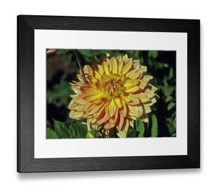 Framed Print : Canada, New Brunswick