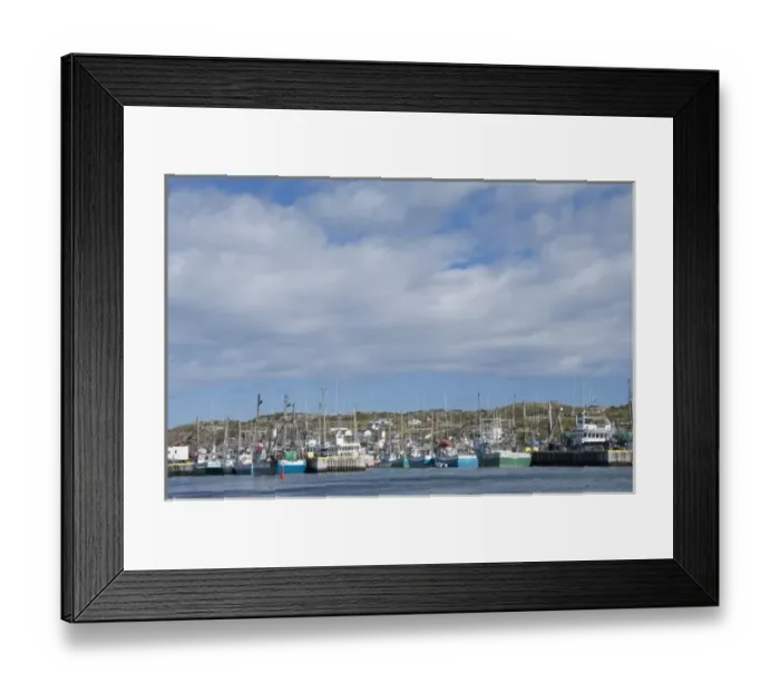 Framed Print : Canada, Newfoundland and Labrador, Twillingate. The port area along the Kittiwake Coast Framed Print : Canada, Newfoundland and Labrador, Twillingate. The port area along the Kittiwake Coast