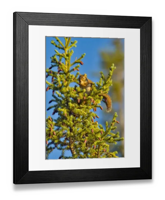 Framed Print : Canada, Northwest Territory