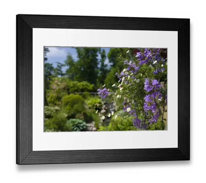 Framed Print : Canada, Nova Scotia Framed Print : Canada, Nova Scotia