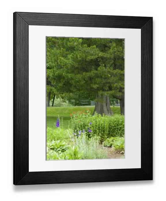 Framed Print : Canada, Nova Scotia Framed Print : Canada, Nova Scotia