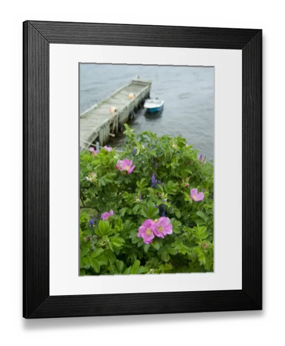 Framed Print : Canada, Nova Scotia, Cape Breton Island, Cheticamp Framed Print : Canada, Nova Scotia, Cape Breton Island, Cheticamp