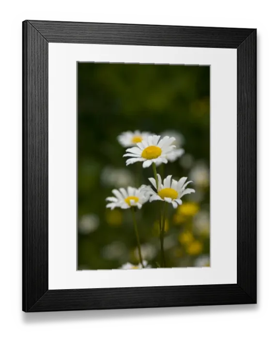 Framed Print : Canada, Nova Scotia