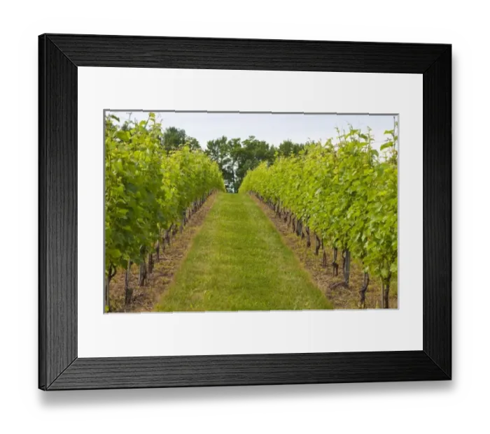 Framed Print : Canada, Nova Scotia Framed Print : Canada, Nova Scotia