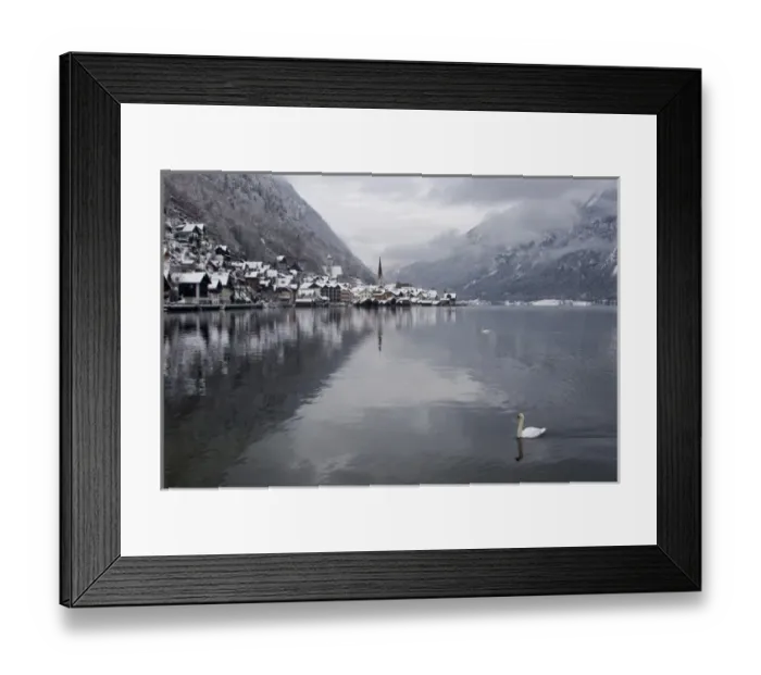 Framed Print : Austria, Hallstatt. Swan on Lake Hallstatt in foreground with city in background Framed Print : Austria, Hallstatt. Swan on Lake Hallstatt in foreground with city in background