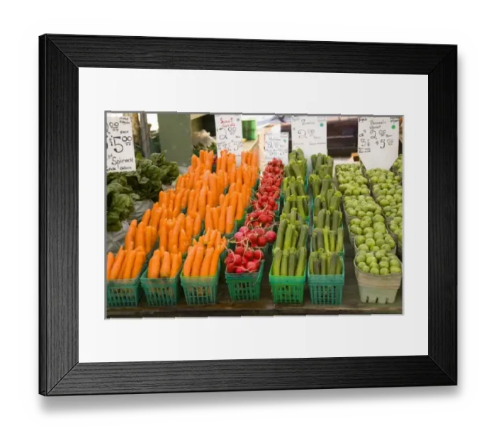 Framed Print : Canada, Ontario Framed Print : Canada, Ontario