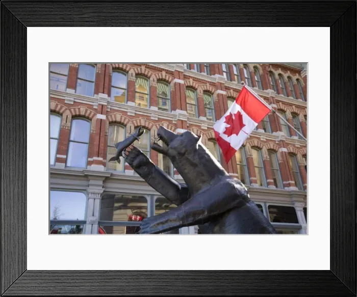 Framed Print : Bear statue with Canadaian flag in Ottawa Framed Print : Bear statue with Canadaian flag in Ottawa