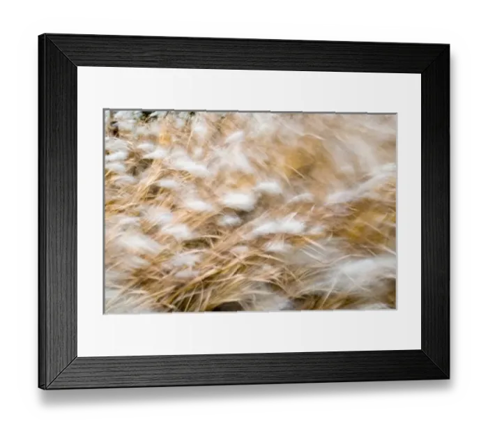 Framed Print : Canada, Ontario Framed Print : Canada, Ontario