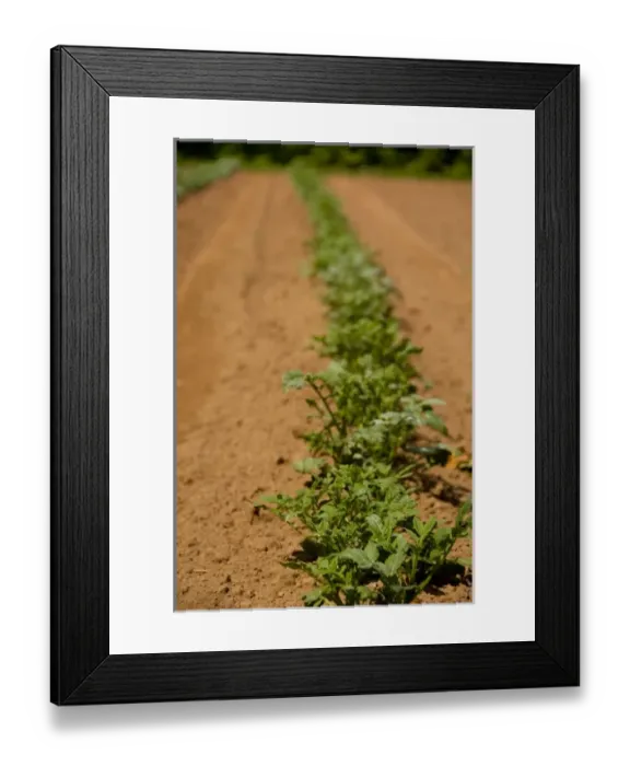 Framed Print : Canada, Prince Edward Island