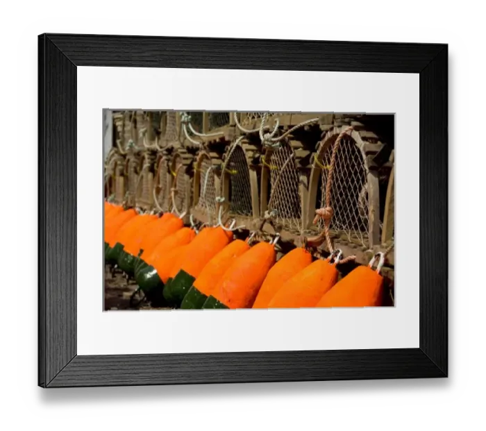 Framed Print : Canada, Prince Edward Island, Rustico. Lobster traps & colorful floats Framed Print : Canada, Prince Edward Island, Rustico. Lobster traps & colorful floats
