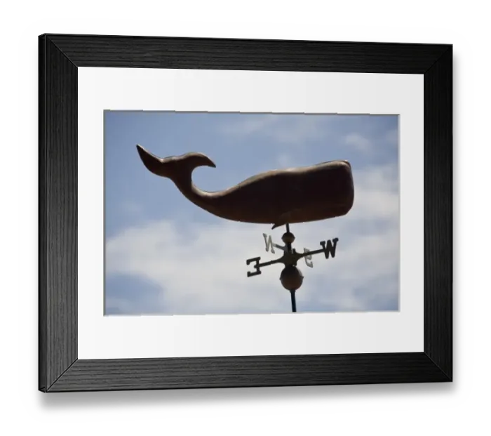 Framed Print : Canada, Prince Edward Island, Sperm whale weathervane Framed Print : Canada, Prince Edward Island, Sperm whale weathervane