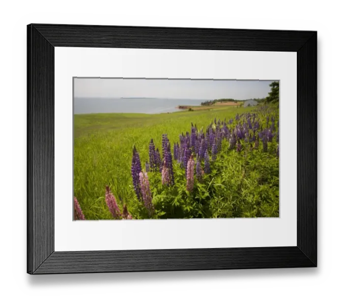 Framed Print : Canada, Prince Edward Island Framed Print : Canada, Prince Edward Island