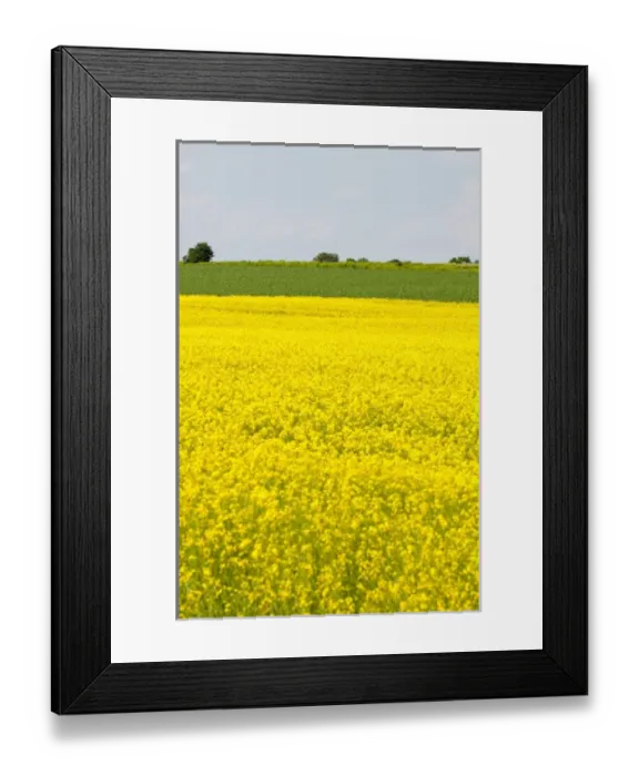 Framed Print : Canada, Prince Edward Island Framed Print : Canada, Prince Edward Island