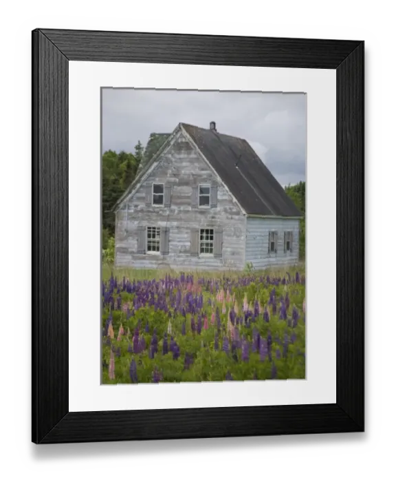 Framed Print : Canada, Prince Edward Island Framed Print : Canada, Prince Edward Island