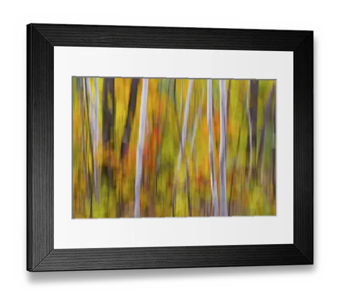Framed Print : Canada, Quebec Framed Print : Canada, Quebec
