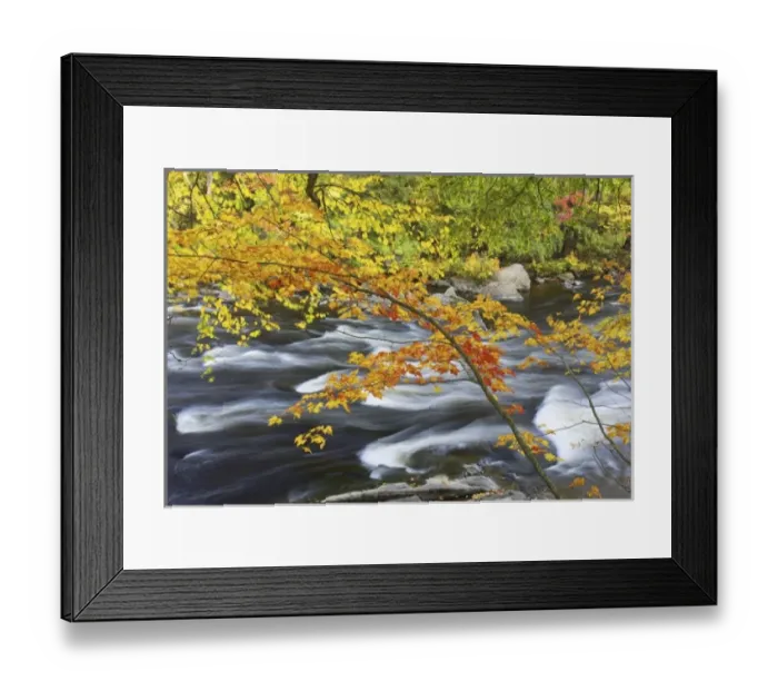 Framed Print : Canada, Quebec Framed Print : Canada, Quebec