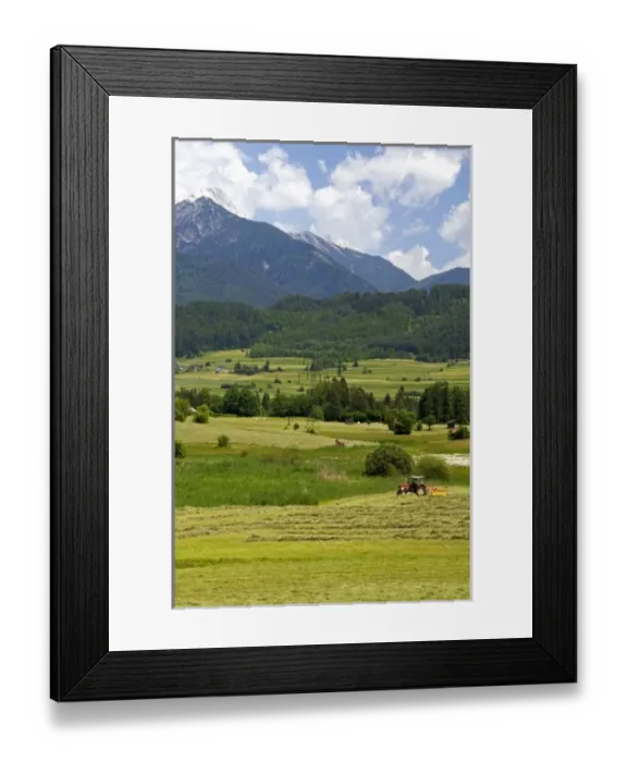 Framed Print : A tractor harvesting a hay field on a farm at Imst, Austria Framed Print : A tractor harvesting a hay field on a farm at Imst, Austria