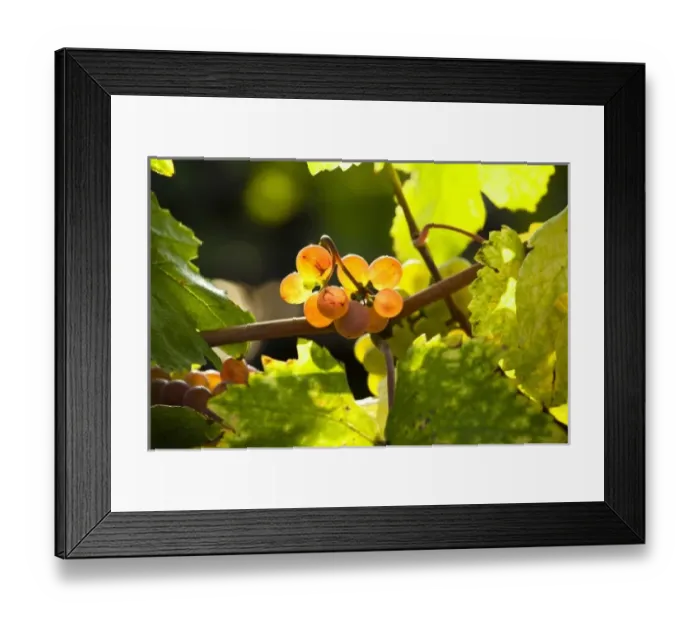 Framed Print : Europe, Austria