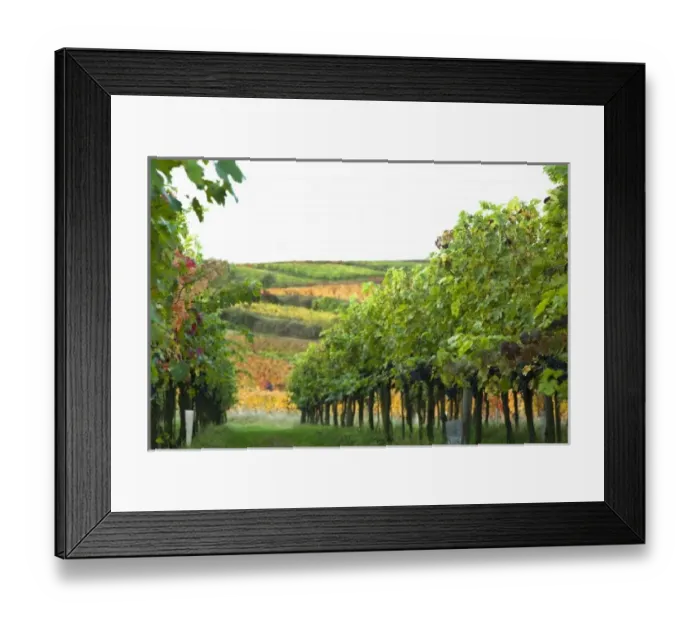 Framed Print : Europe, Austria
