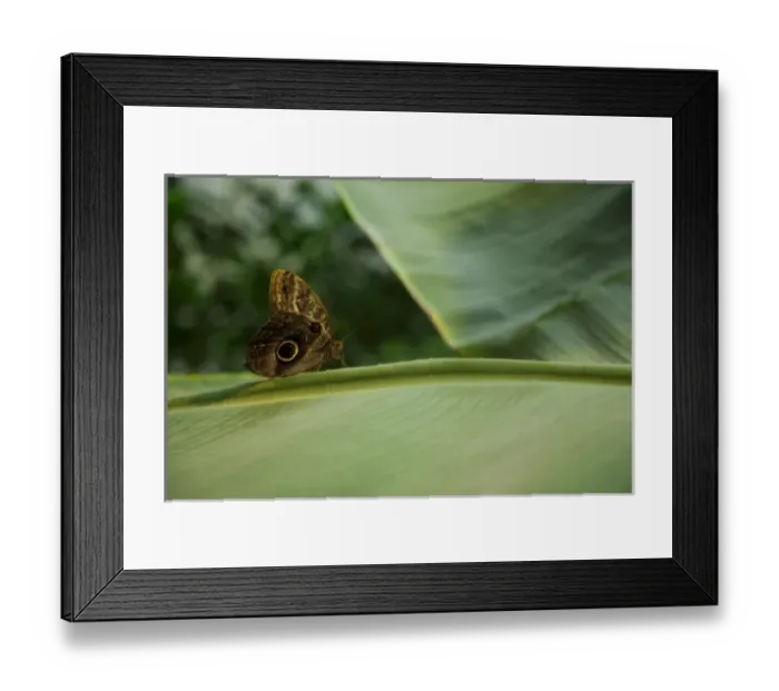 Framed Print : Europe, Austria Framed Print : Europe, Austria